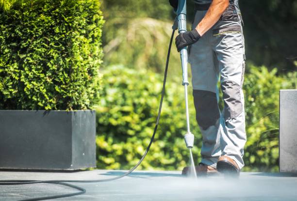 Best Driveway Pressure Washing  in Sylvester, GA